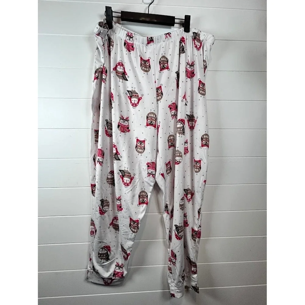 Secret Treasures Pajama Set Women's 3X‎ (22-24W)Owl Print Long Sleeve Top Pants